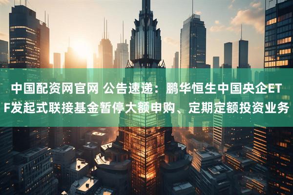 中国配资网官网 公告速递：鹏华恒生中国央企ETF发起式联接基金暂停大额申购、定期定额投资业务