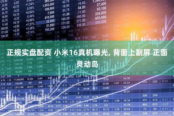 正规实盘配资 小米16真机曝光, 背面上副屏 正面灵动岛